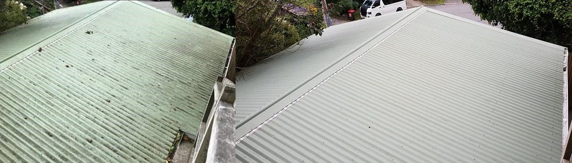 Coloursteel roof clean in Wellington, corrugated metal roof with heavy green algae streaking before, clean light grey-sage corrugated surface after a soft-wash