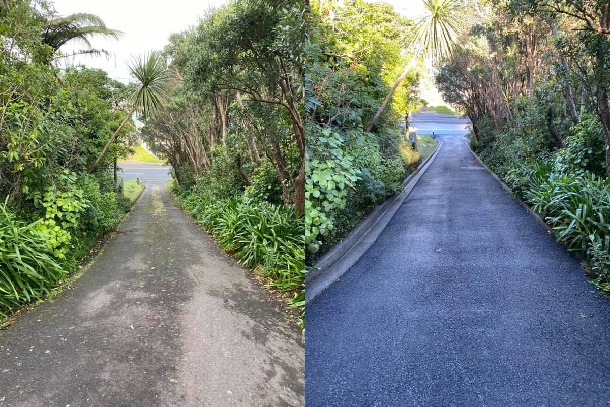 Driveway cleaning in Wellington, steep tree-lined asphalt driveway, grimy with moss before, freshly sealed dark surface after