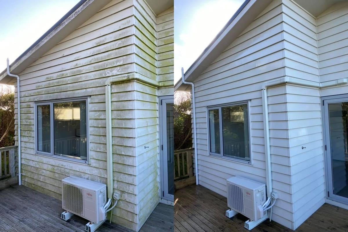 House washing in Wellington, house exterior weatherboard wash before and after, green algae stripped, clean cream paint restored