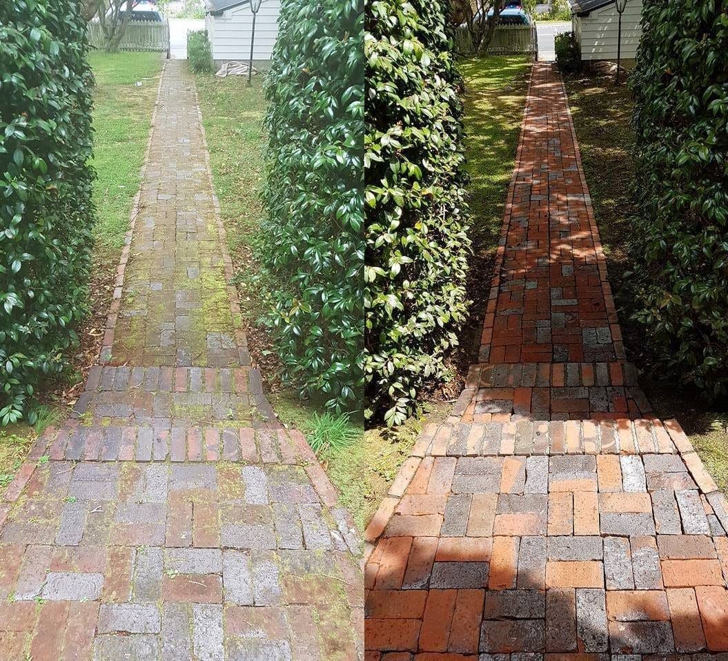 Path cleaning in Wellington, brick walkway through a hedged garden, moss in joints before, clean red brick after