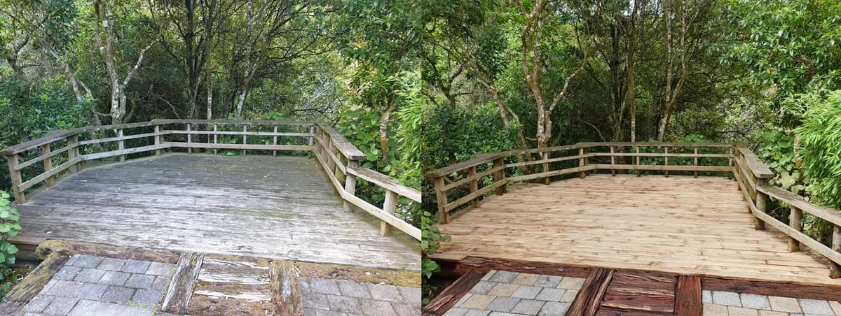 Deck restoration in Karori, before and after, weathered grey timber cleaned and restored to fresh natural tone