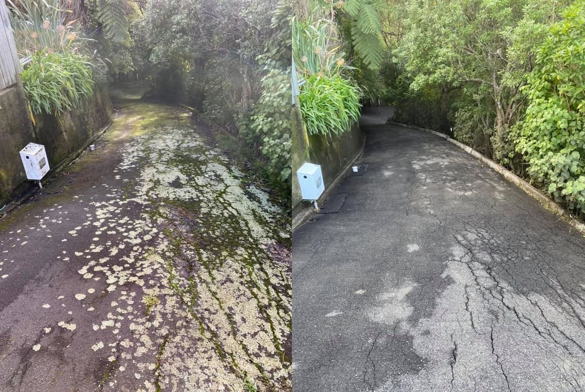 Driveway cleaning in Belmont, before and after, concrete or paver driveway lifted from mossy grey to clean restored surface