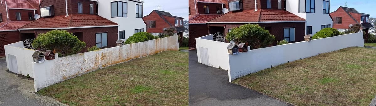 Fence cleaning in Hataitai, before and after, timber boundary fence stripped of mould and lichen, restored to fresh timber