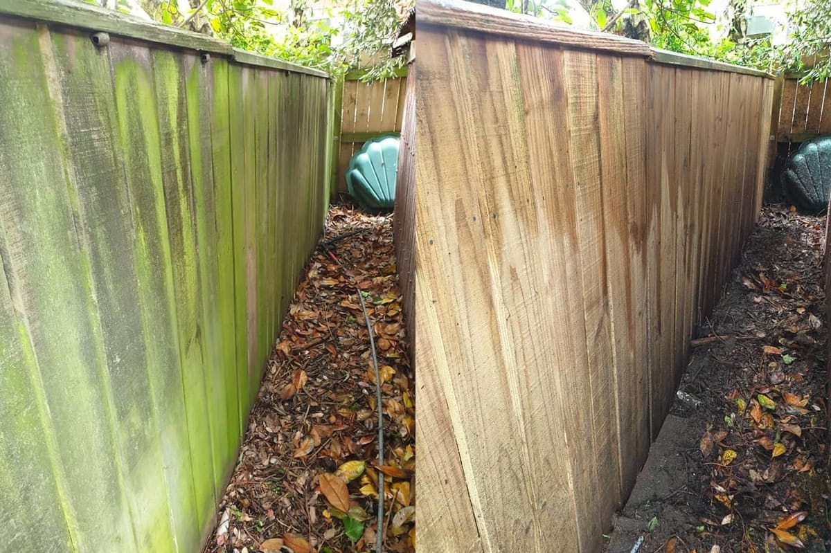 Fence cleaning in Petone, before and after, timber boundary fence stripped of mould and lichen, restored to fresh timber