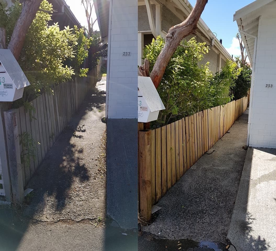 Fence cleaning in Berhampore, wooden boundary fence along a concrete side path, weathered grey before, fresh clean timber after