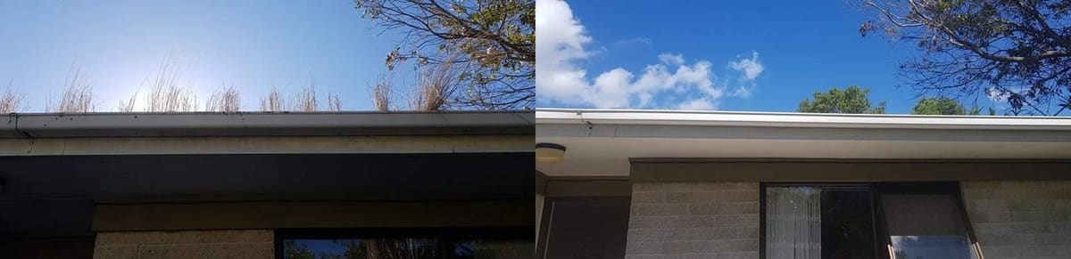 Gutter cleaning in Wellington, eaves of a single-storey house with weeds and dry grass growing out of a blocked gutter before, clean white gutter and fascia after