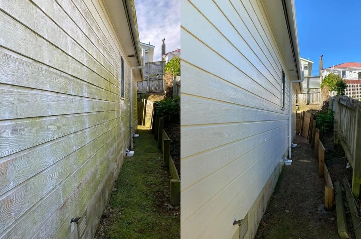 House washing in Brooklyn, before and after a soft-wash treatment, exterior cladding lifted clean of moss, algae and weathering