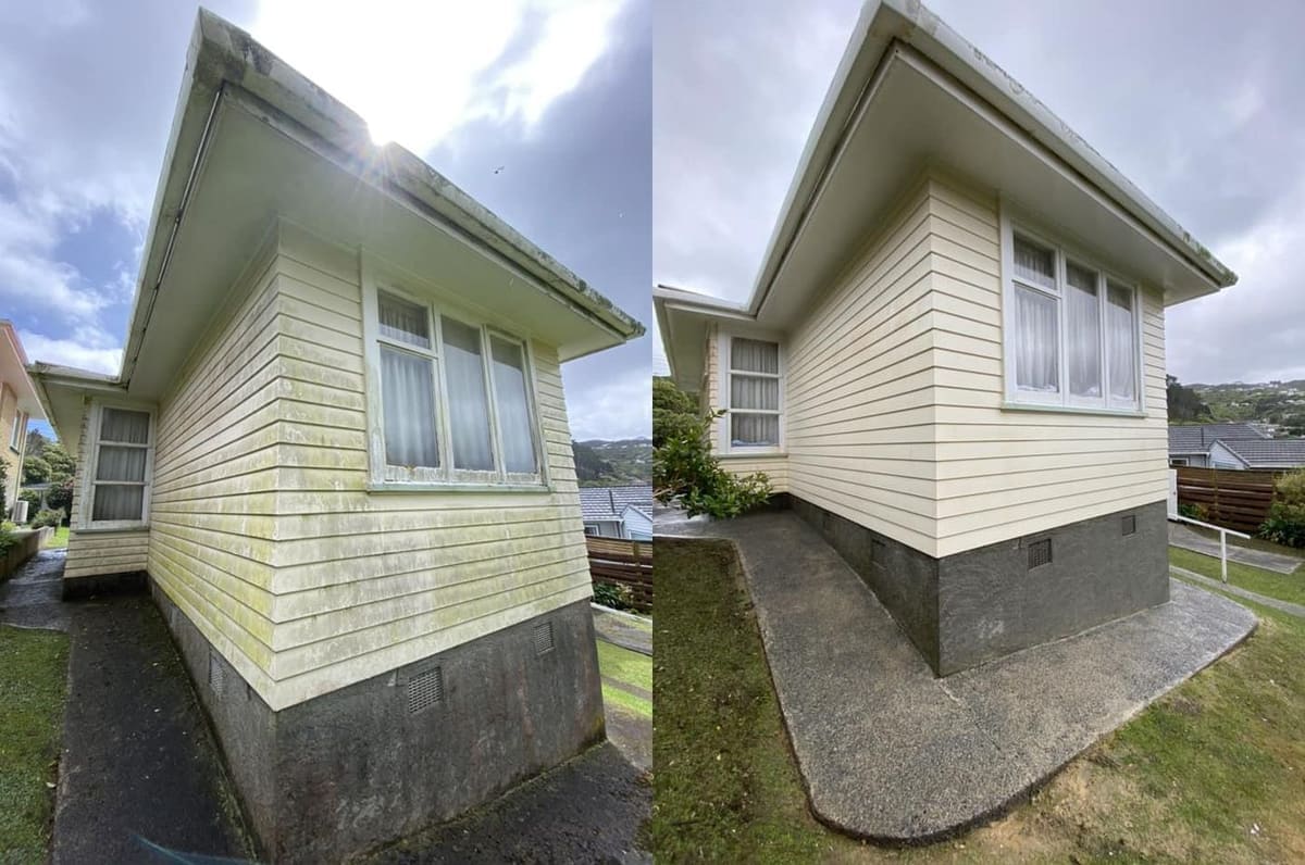House washing in Wellington, corner of a single-storey weatherboard home with heavy green algae streaking down the side wall before, clean cream weatherboard after a soft-wash
