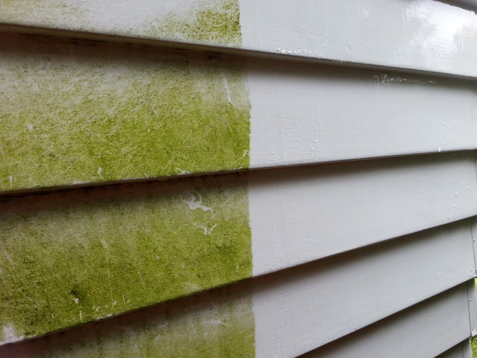 House washing in Johnsonville, before and after a soft-wash treatment, exterior cladding lifted clean of moss, algae and weathering