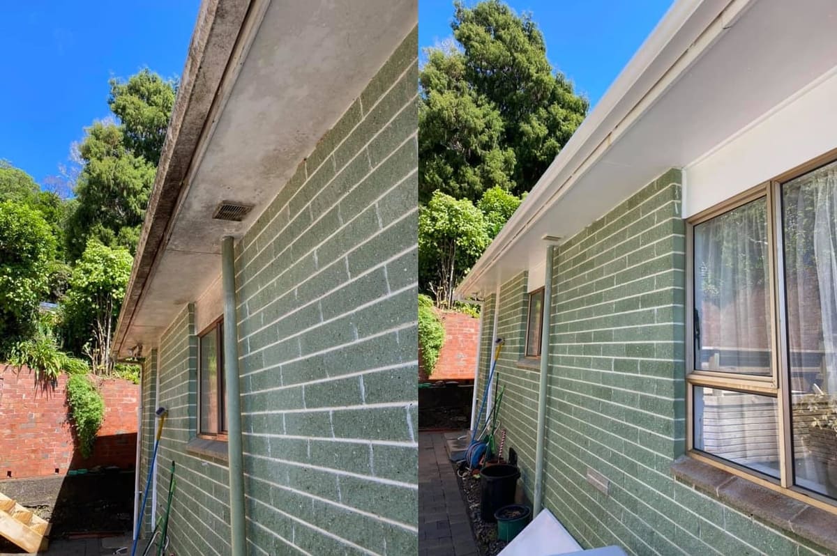 House washing in Karori, before and after a soft-wash treatment, exterior cladding lifted clean of moss, algae and weathering