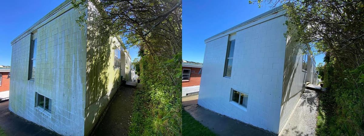 House washing in Newlands, before and after a soft-wash treatment, exterior cladding lifted clean of moss, algae and weathering