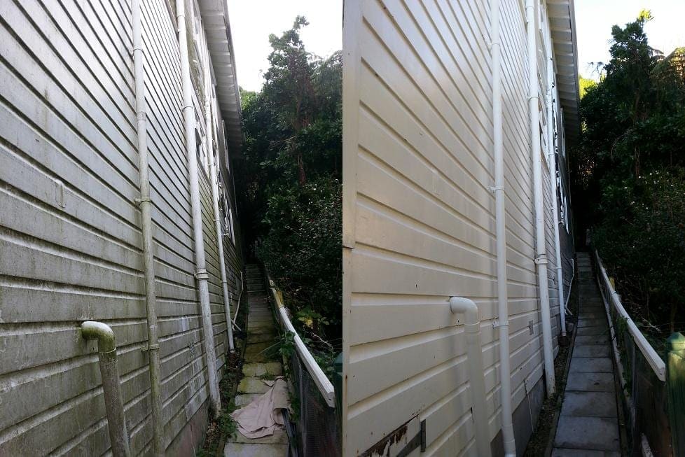 Wellington house wash before and after, narrow side passage between two cream weatherboard buildings with heavy green algae streaking before, clean cladding and tidy access path after