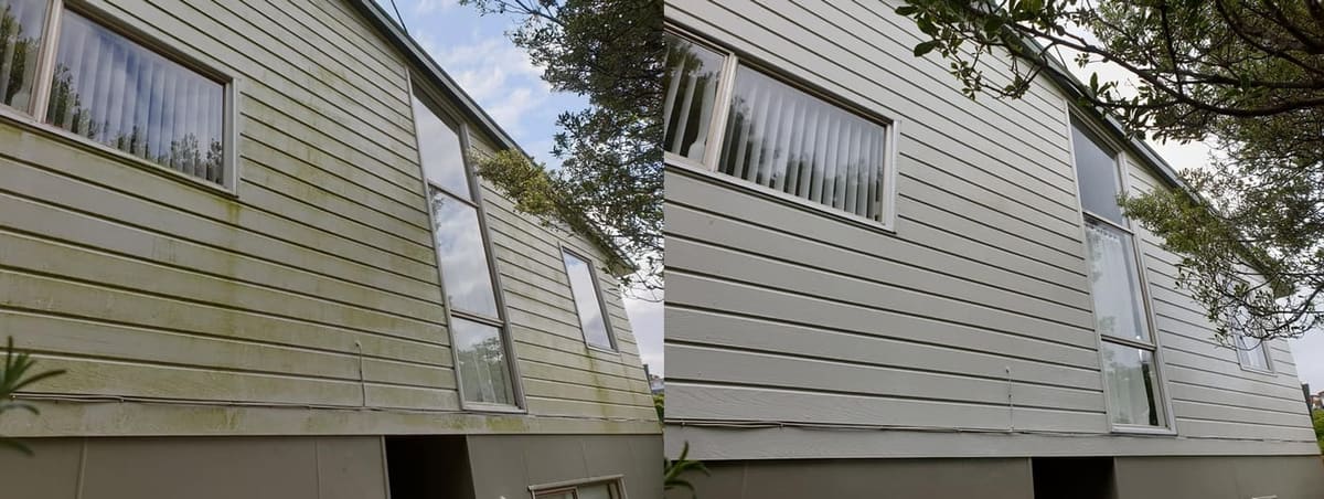 Wellington house wash before and after, sage-green weatherboard wall with green algae streaking down from the eaves before, clean even sage cladding after a soft-wash with biocide chemistry