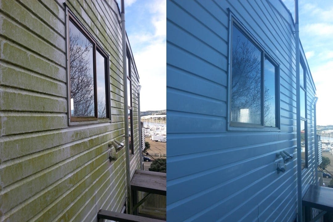 Wellington coastal house wash before and after, weatherboard wall with thick green algae and salt crust facing the marina before, clean blue-grey weatherboard after a soft-wash with salt-neutralising rinse