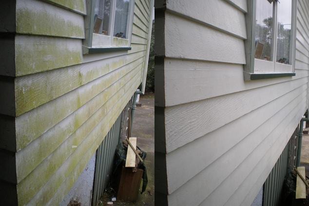 Wellington house wash before and after, cream weatherboard cladding beneath a window with heavy green algae before, clean cream weatherboard after a soft-wash with biocide chemistry