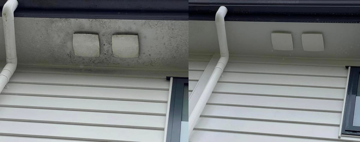 House washing in Whitby, before and after a soft-wash treatment, exterior cladding lifted clean of moss, algae and weathering
