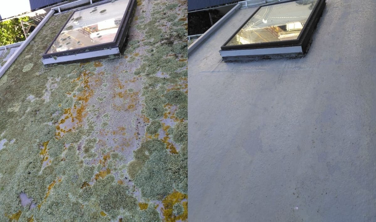 Lichen treatment in Mount Cook, before and after, flat membrane roof with heavy green-and-yellow lichen growth around a skylight, lifted clean to bare membrane after biocide treatment