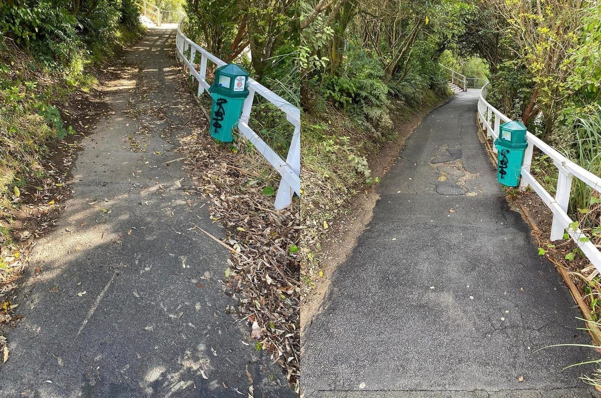 Wellington school path cleaning at Newlands College on the Bracken Road side, asphalt path beside a timber retaining wall pressure washed and biocide treated, lifting green growth from the boards.