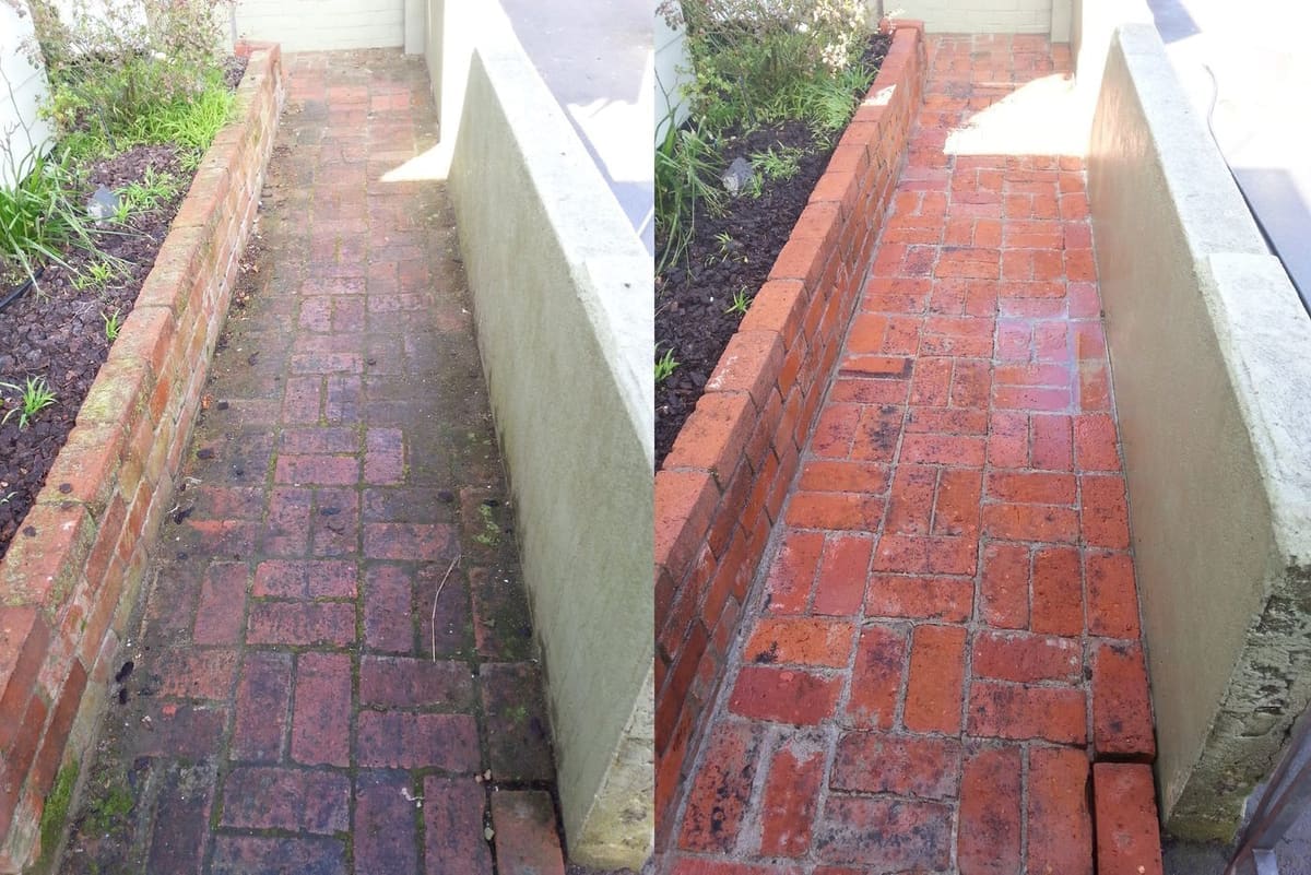 Path cleaning in Newtown, brick paver entrance path between low render walls, mossy before, clean red brick after