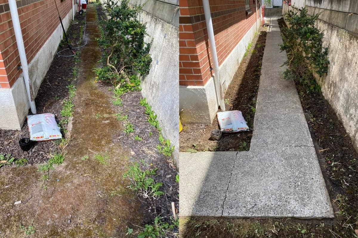 Path cleaning in Khandallah, before and after, footpath or garden path cleared of moss, weeds and weathering
