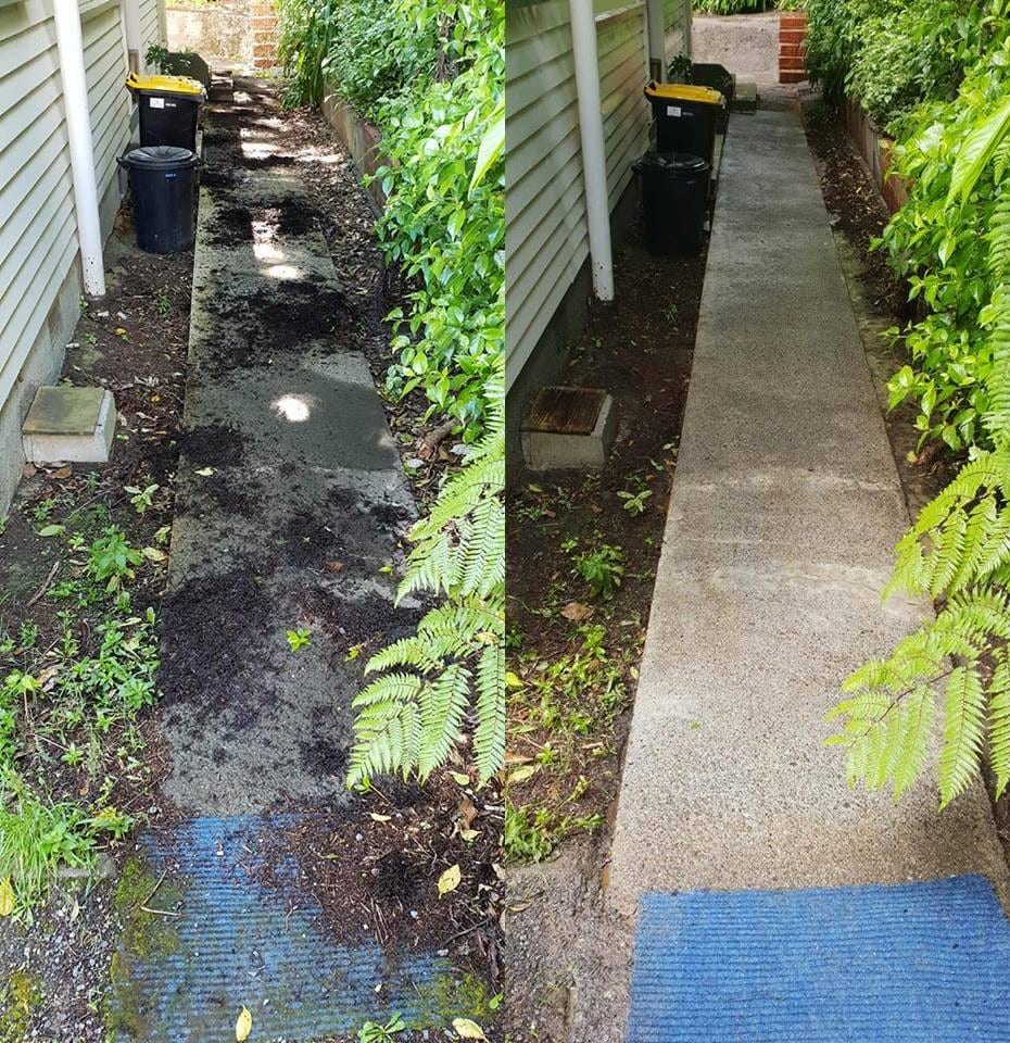 Path cleaning in Newlands, before and after, footpath or garden path cleared of moss, weeds and weathering