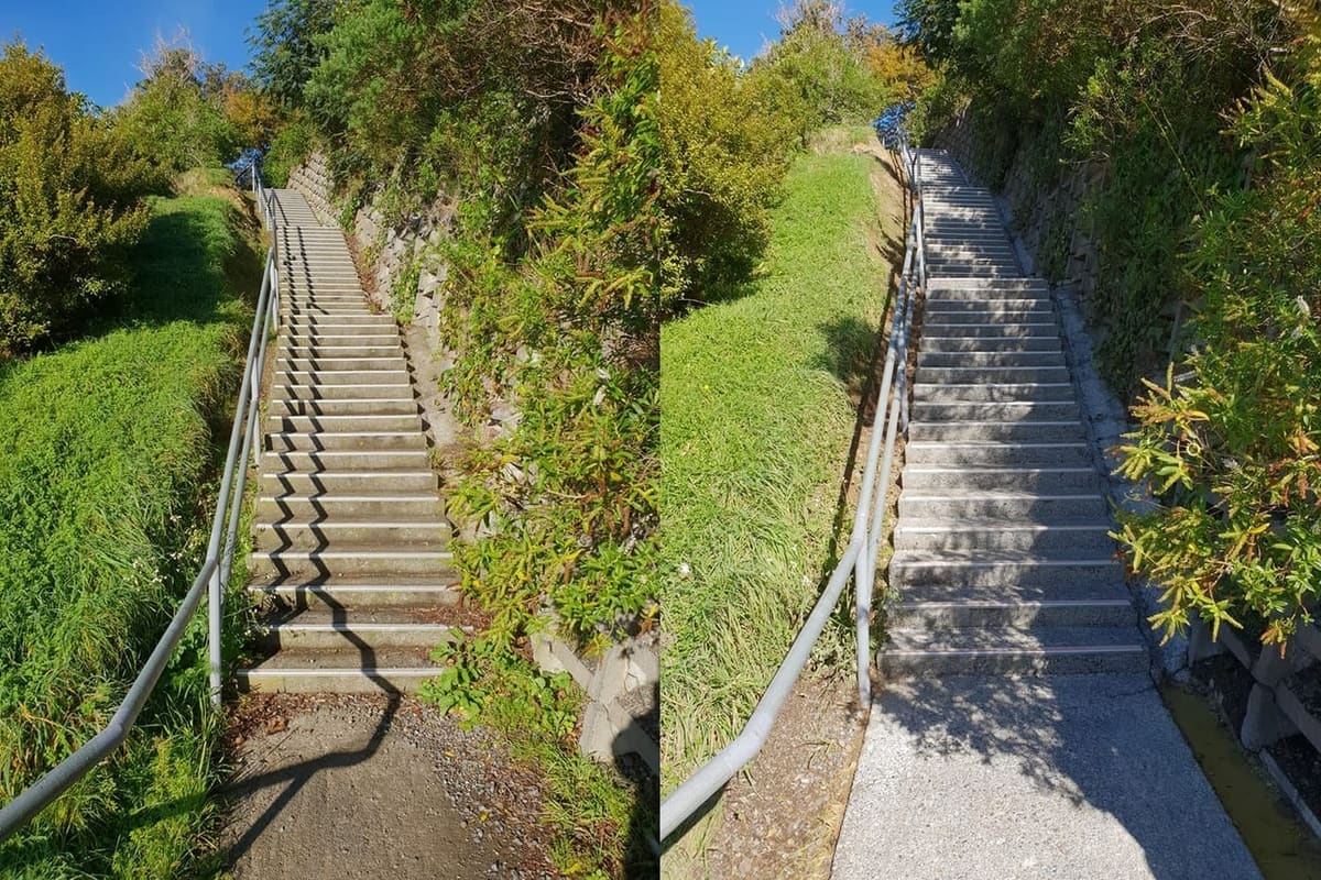 Wellington school path cleaning at Newlands College, long hillside concrete staircase with steel handrail stripped of moss and lichen, opening a clean safe climb between campus levels.