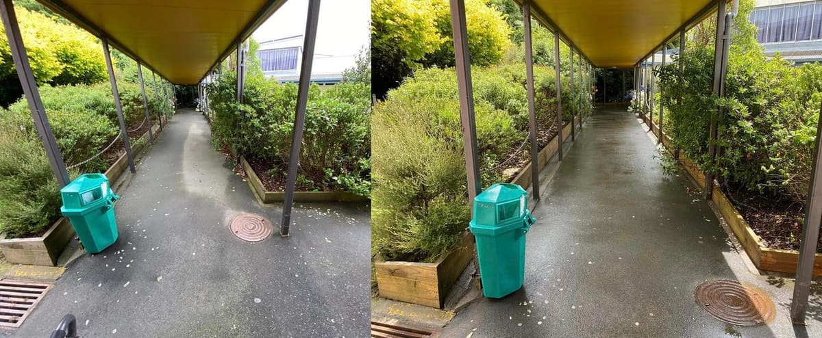 Wellington school path cleaning at Newlands College, covered walkway toward the tennis court with yellow ceiling soffit, asphalt path softwashed and rinsed clean between hedges and planters.