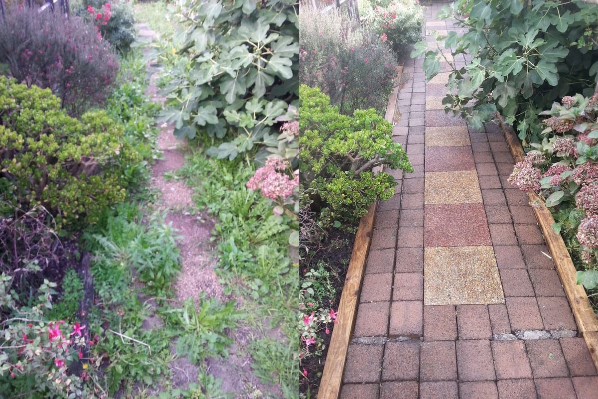 Path cleaning in Naenae, garden paver path with timber edging and clay stepping-tiles, overgrown weeds before, clean restored path after