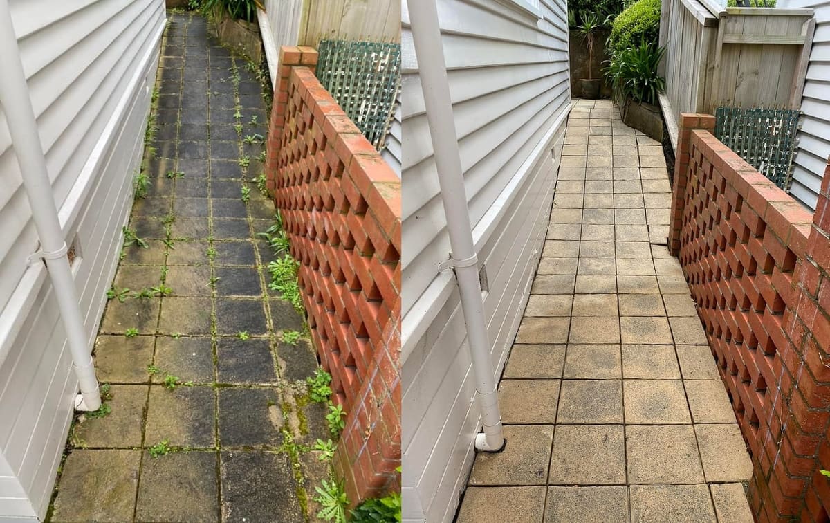 Path cleaning in Wadestown, before and after, footpath or garden path cleared of moss, weeds and weathering