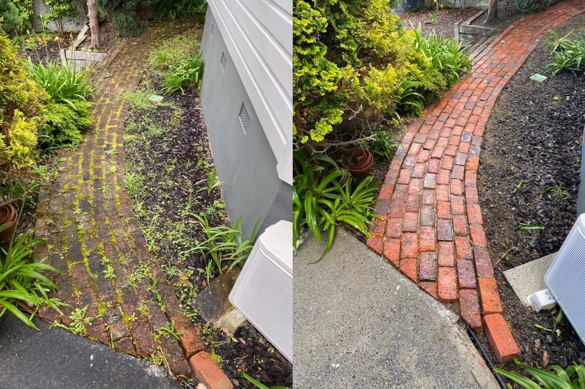 Path cleaning in Wadestown, before and after, footpath or garden path cleared of moss, weeds and weathering