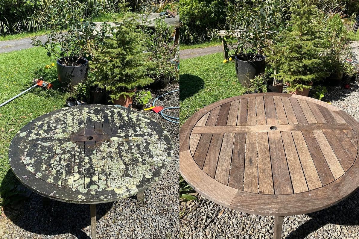Picnic table restoration in Tawa, before and after, round timber picnic table caked in green lichen, sanded clean to warm bare timber