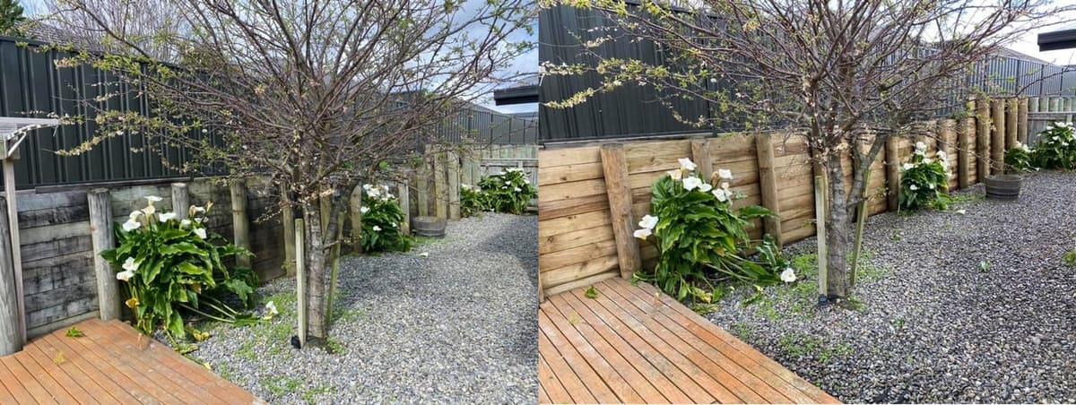 Retaining wall cleaning in Waterloo, before and after, wall blasted clean of algae and grime to restored finish