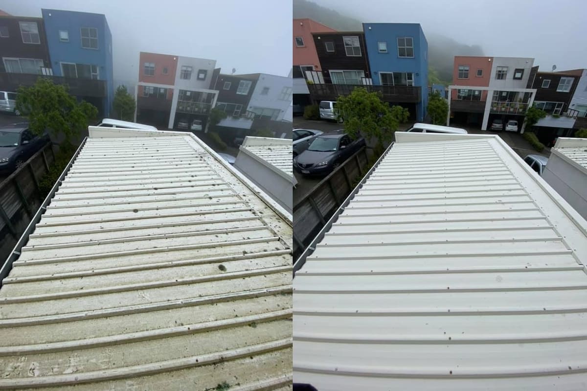 Roof cleaning in Karori, before and after, white Coloursteel corrugated roof with debris and weathered streaks lifted to clean even cladding