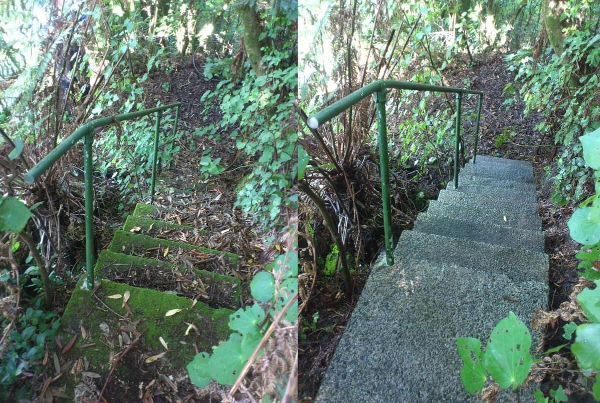 Path cleaning in Hataitai, before and after, footpath or garden path cleared of moss, weeds and weathering