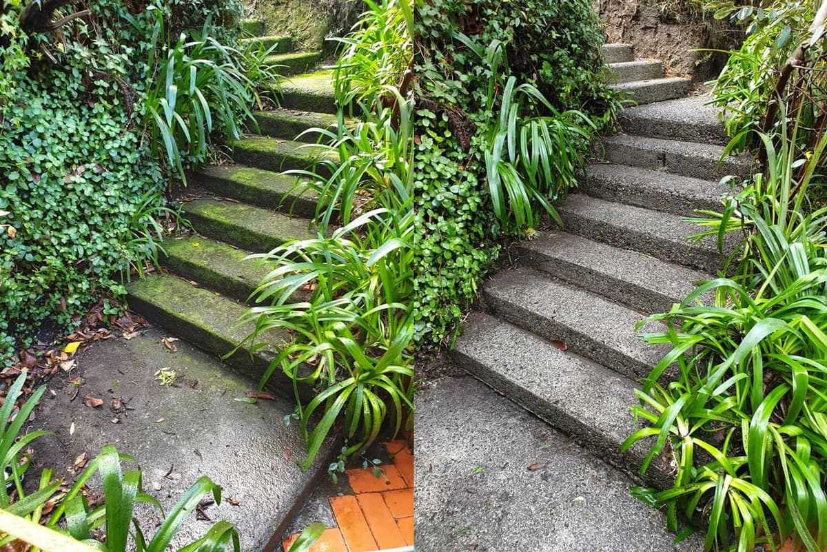 Path cleaning in Khandallah, before and after, footpath or garden path cleared of moss, weeds and weathering