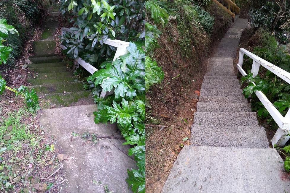 Path cleaning in Te Aro, before and after, footpath or garden path cleared of moss, weeds and weathering
