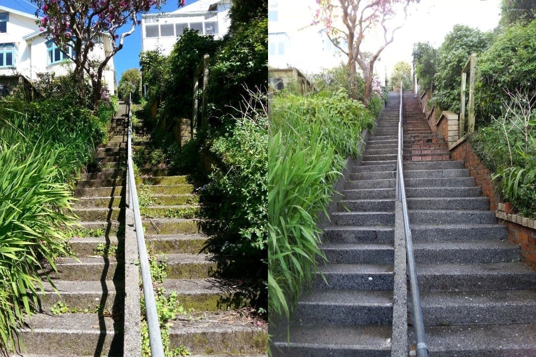 Wellington public concrete steps cleaned, overgrown weedy concrete steps climbing a hillside between two suburban properties before, clean clear steps with reset edging after